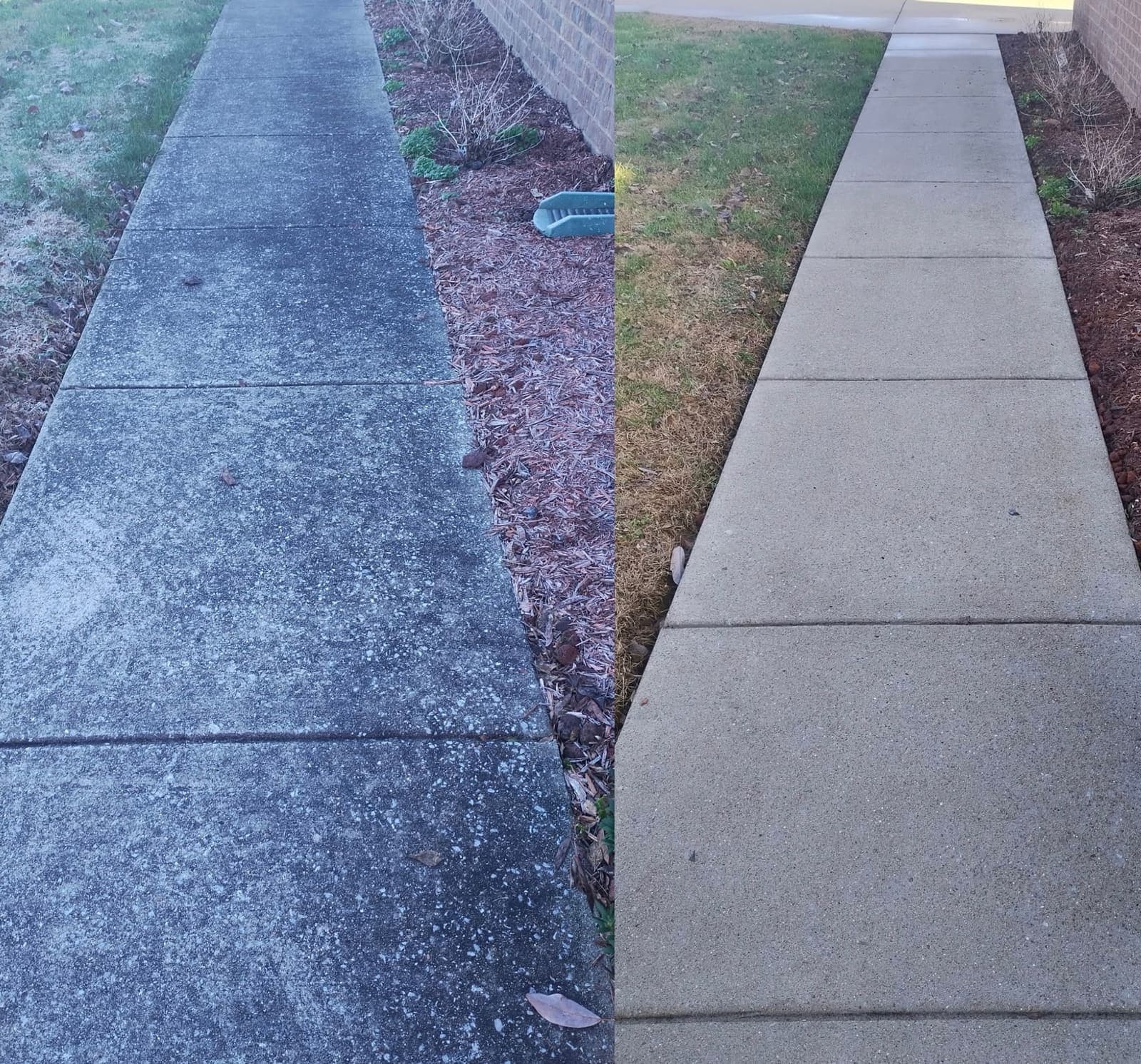 Dark algae-covered sidewalk before pressure washing and bright clean sidewalk after pressure washing